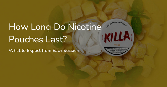 How Long Do Nicotine Pouches Last? What to Expect from Each Session