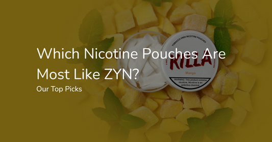 Which Nicotine Pouches Are Most Like ZYN? Our Top Picks