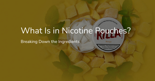 What Is in Nicotine Pouches? Breaking Down the Ingredients