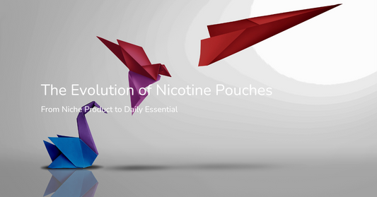 The Evolution of Nicotine Pouches: From Niche Product to Daily Essential