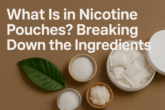 What Is in Nicotine Pouches? Breaking Down the Ingredients