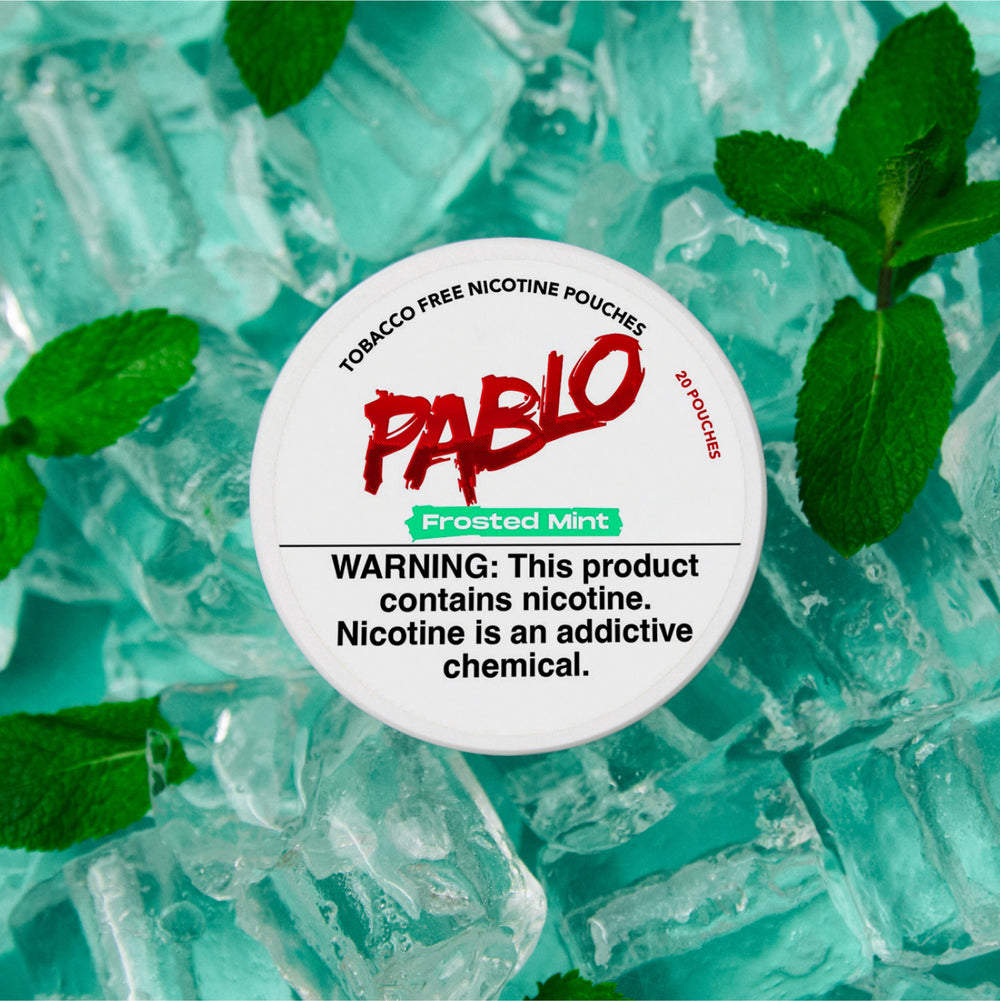 pablo frosted mint small