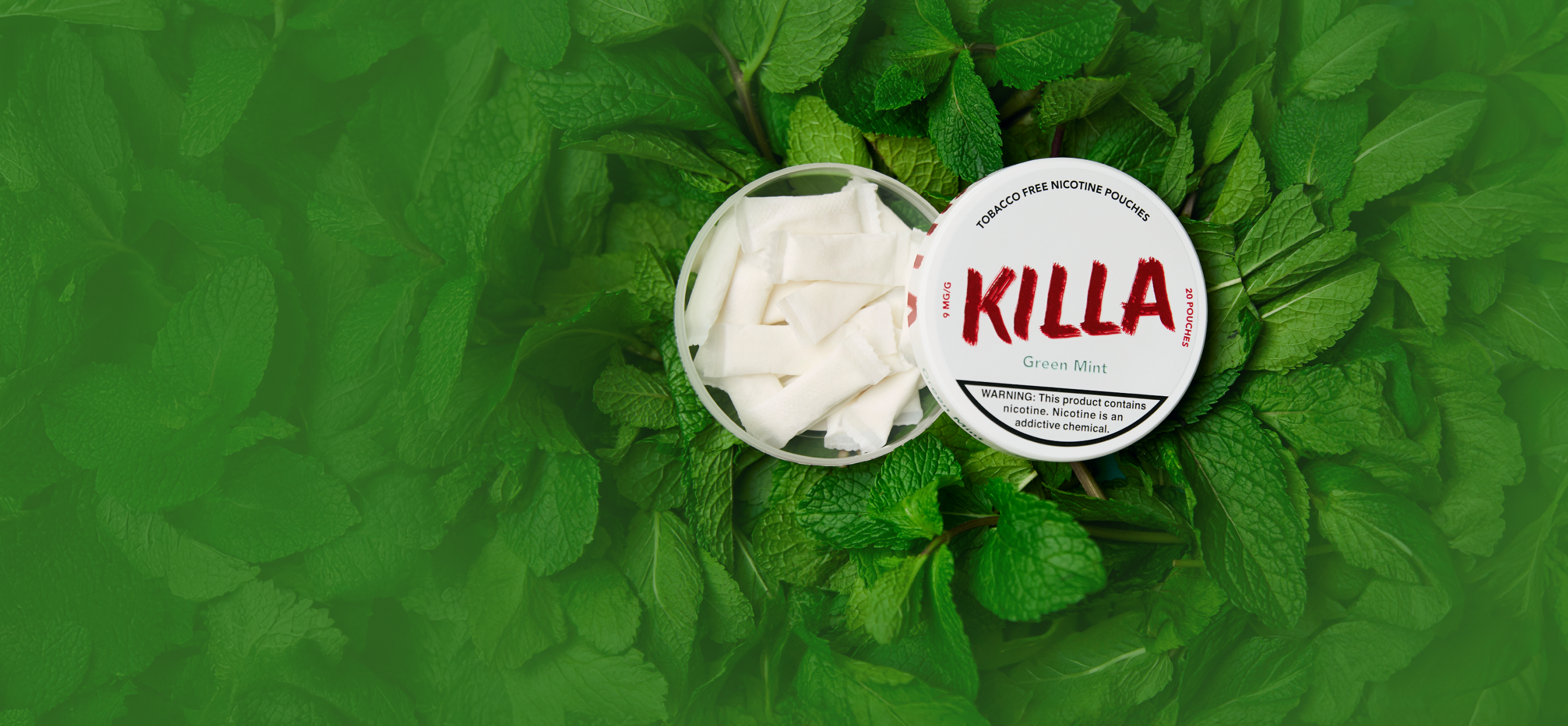 mint 50 mg nicotine pouches