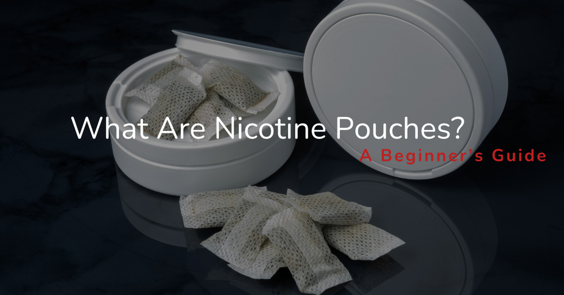 What Are Nicotine Pouches? A Beginner’s Guide
