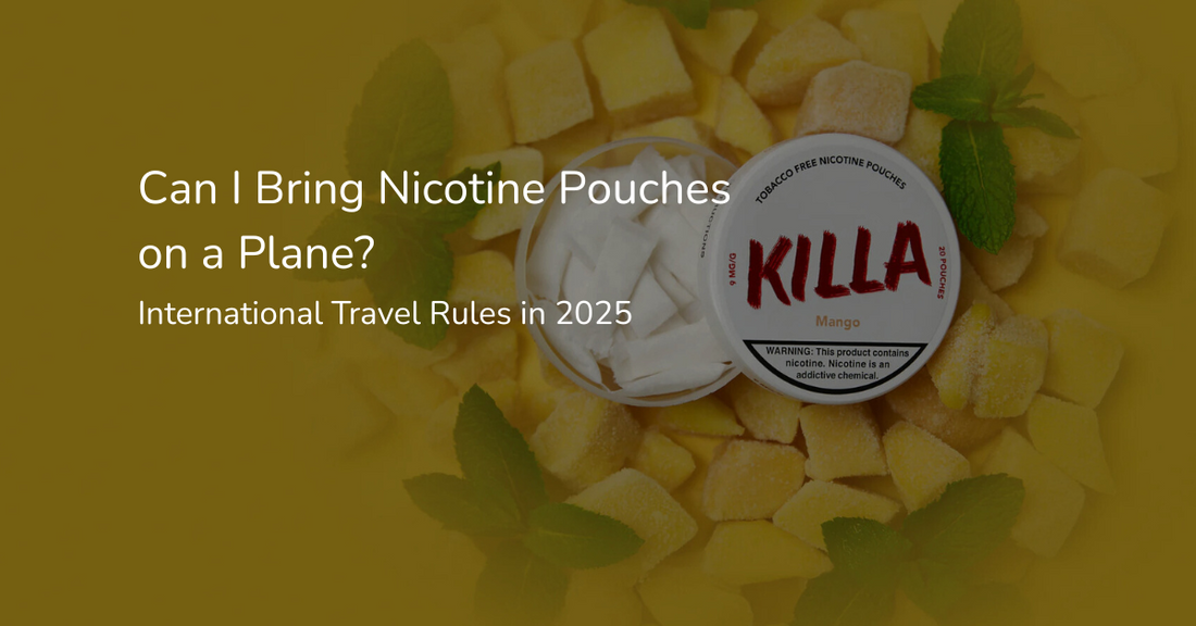 Can I Bring Nicotine Pouches on a Plane? International Travel Rules in 2025