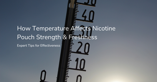 How Temperature Affects Nicotine Pouch Strength & Freshness