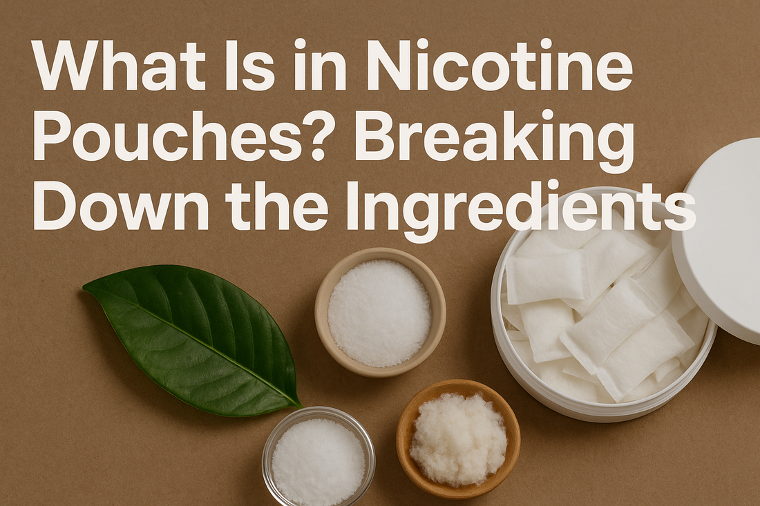 What Is in Nicotine Pouches? Breaking Down the Ingredients