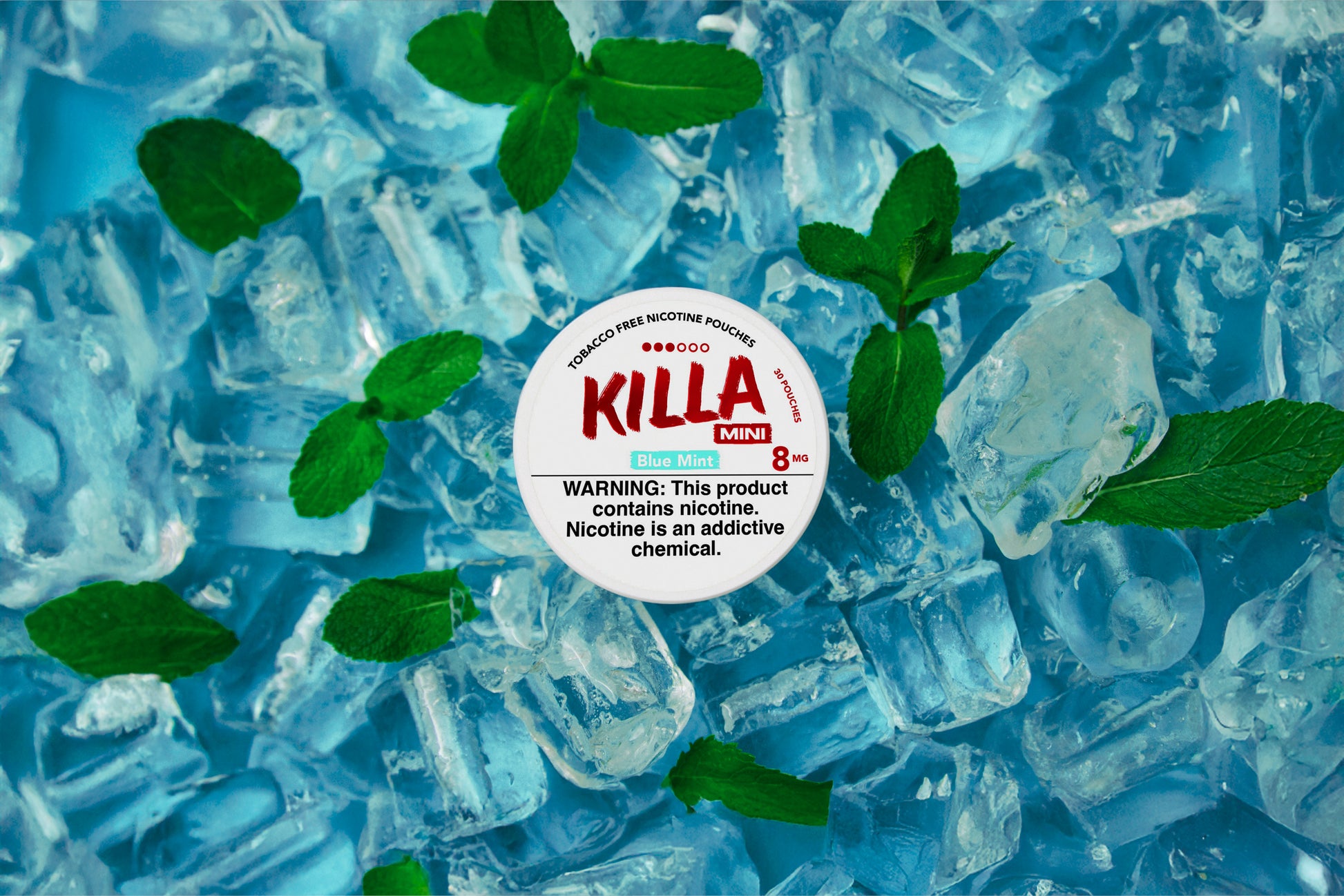 8mg killa blue mint nicotine pouch
